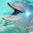 Shaky Dolphin