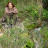 Anni Petratos Avatar