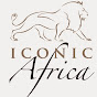 Iconic Africa YouTube Profile Photo
