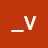 _v v