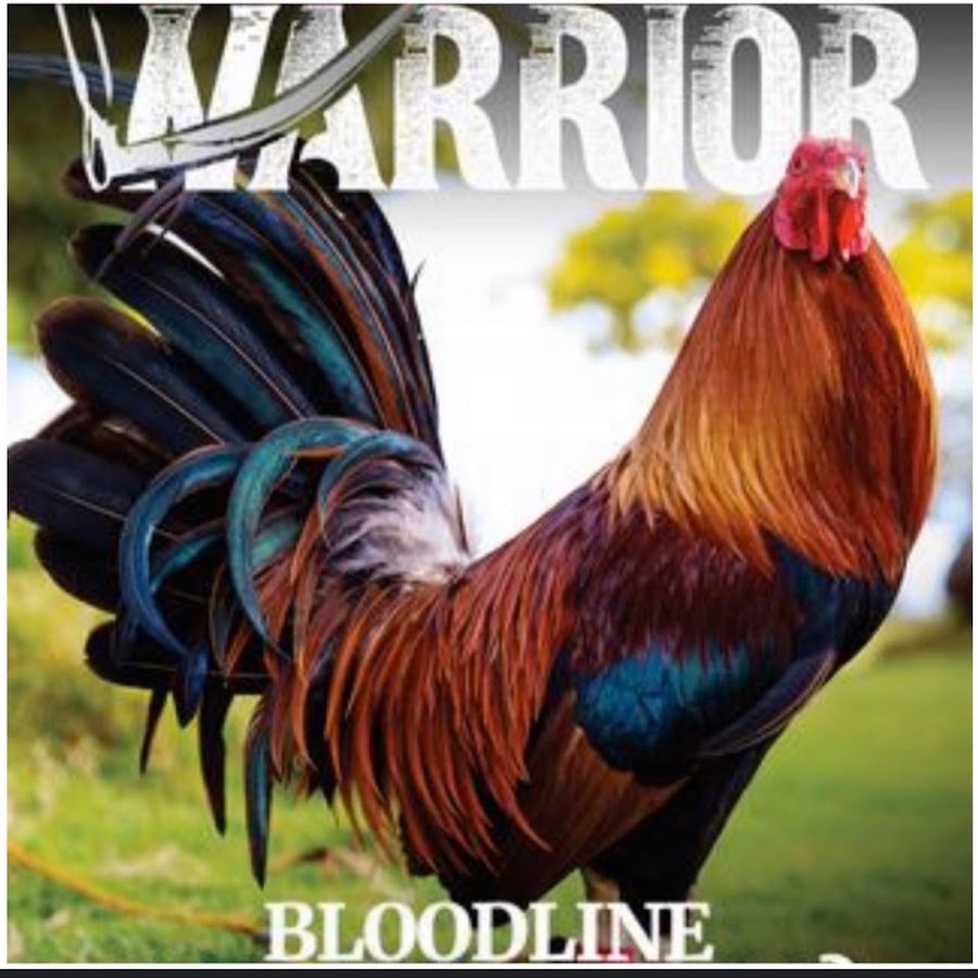 AMLnZu8easJ4PRl04rFyXC2L1jpyKyKqEl24jWVfjzHM=s900ckc0x00ffffffnorj