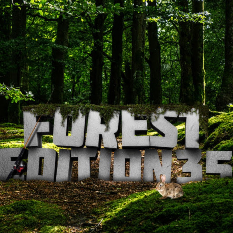 Головоломка форест. The forest 2015 игра. The forest 2015 игра. 5. Fallout 4 resurrection.