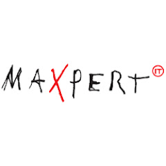Maxpert GmbH net worth