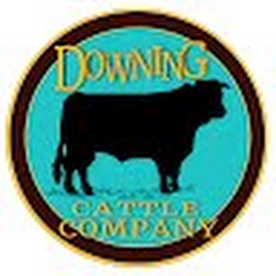 AMLnZu8geRMQr0oUBWvciSl7MJYGARV2nePht5AplUg1=s900ckc0x00ffffffnorj