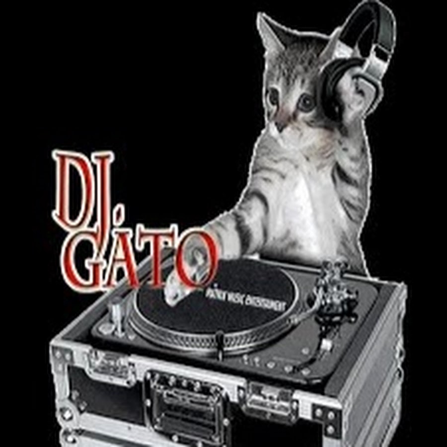 DJ GATO MIX - YouTube