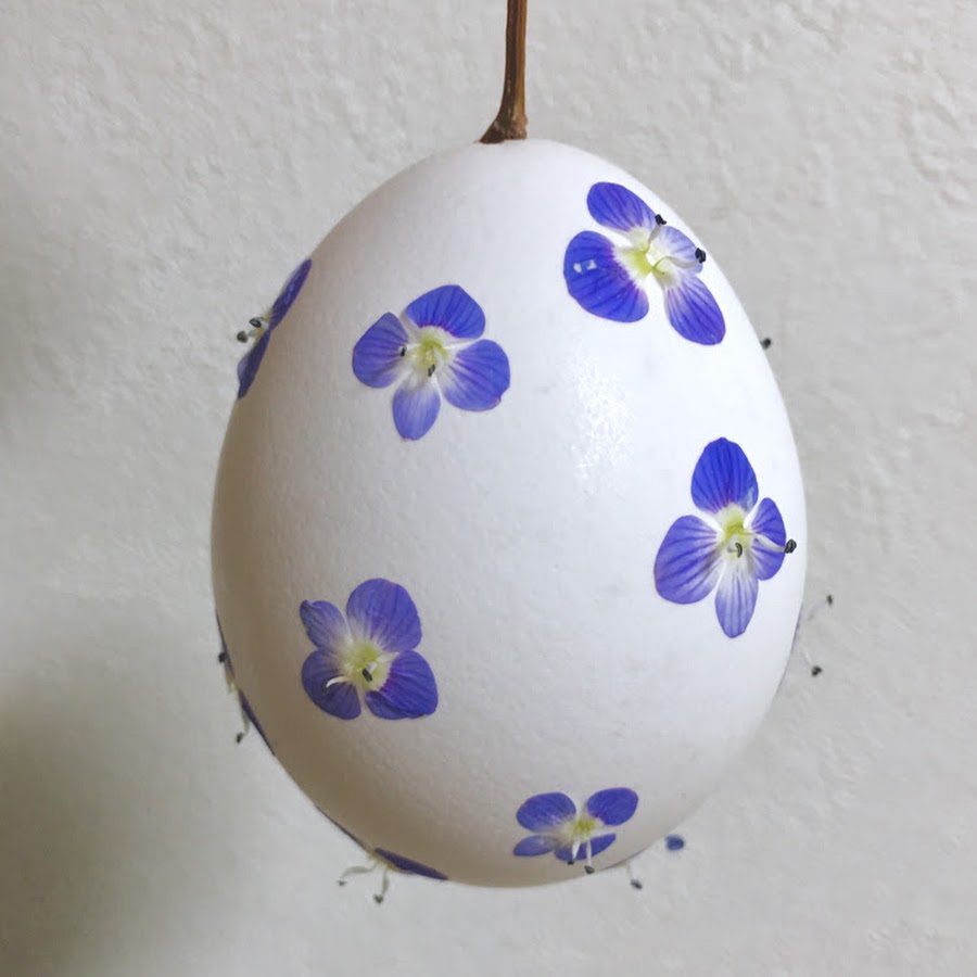 New草花あそび研究所いのり Youtube