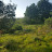 Sean Burman Avatar