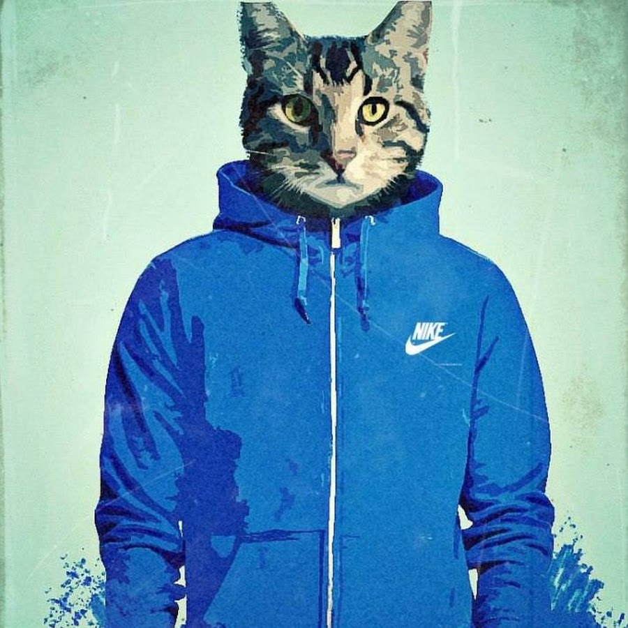 Кот в толстовке