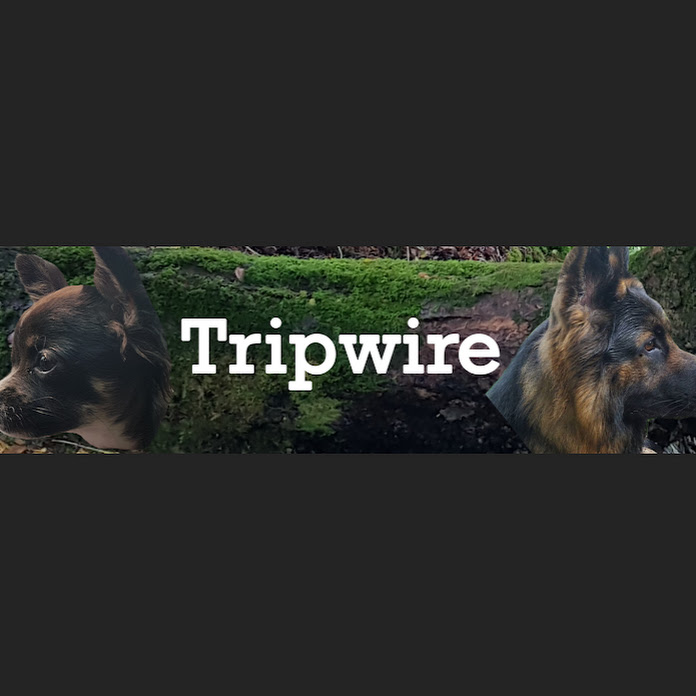 Tripwire Net Worth & Earnings (2022)