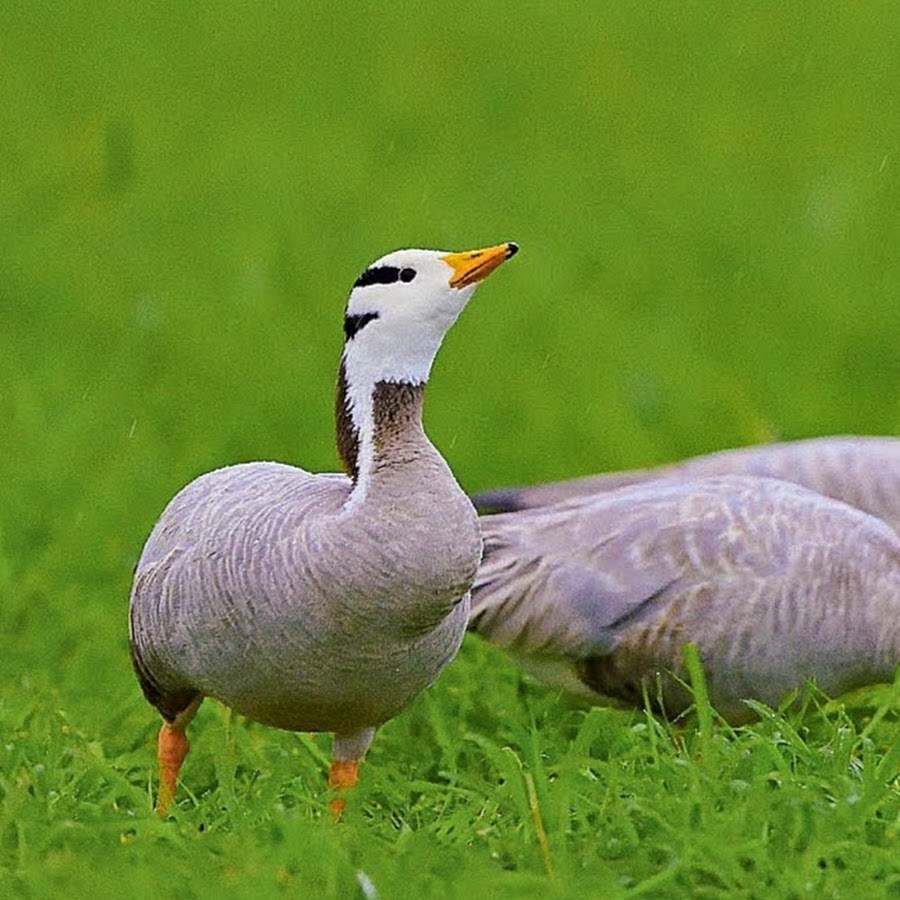 写真家 小島征彦 オフィシャルチャンネル Youtube