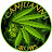 Canjuanna Grows