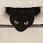 MundMoriginal Avatar