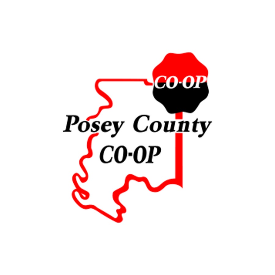 AMLnZu8oIdBDqAUta8QQQBjFan9bmXK59CUarNWyWZFH=s900ckc0x00ffffffnorj