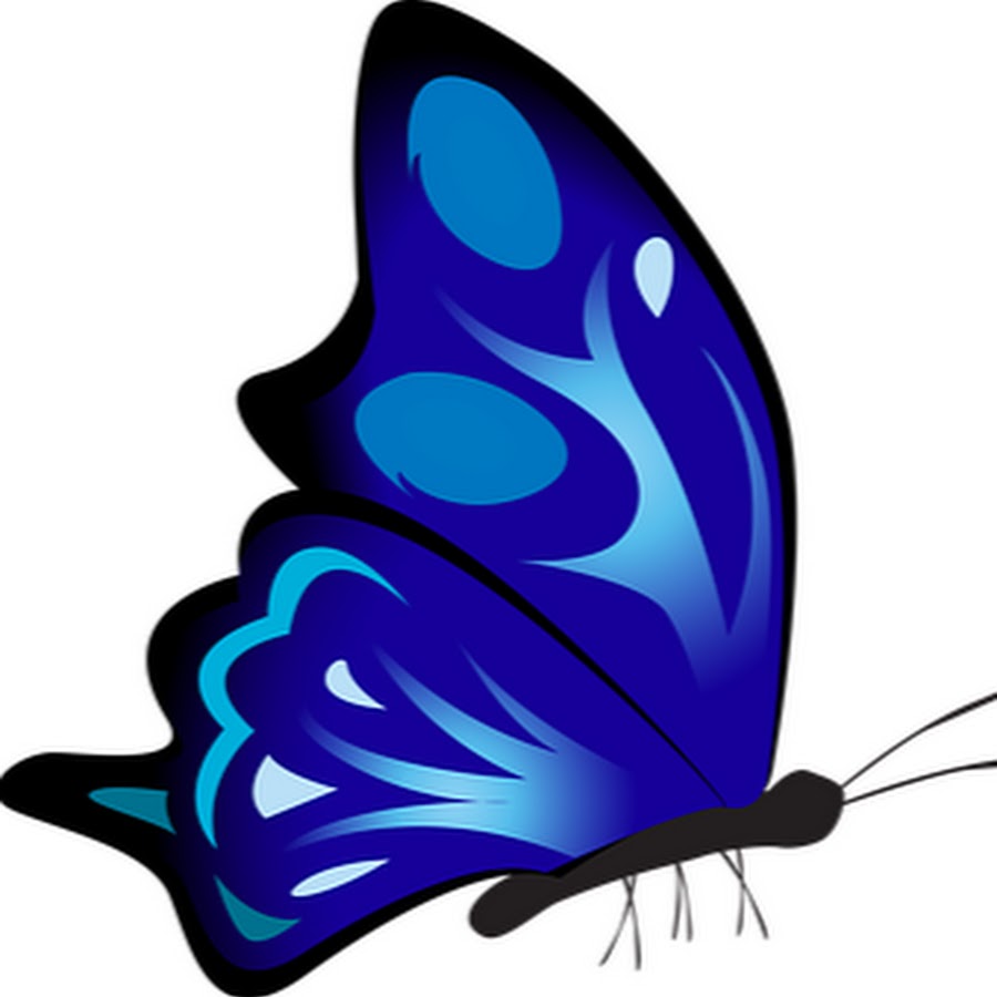 Синяя бабочка вектор