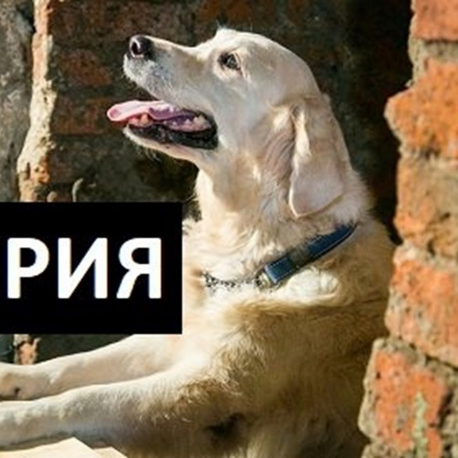 Катя блэк 2. Катя и блэк поцелуй. Катя и блэк постер. Катя и блэк 2. Катя и блэк.