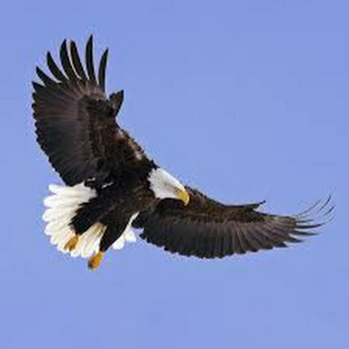 The Mechanic OC Net Worth & Earnings (2026)