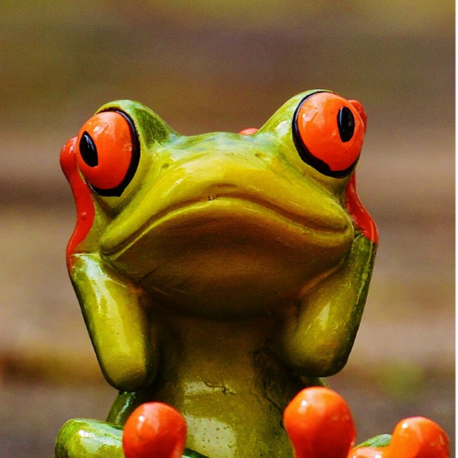 Amlnzu8o Whvjttklhfl Hnz Cf8u5sz6kw2nvdovebirq S900 C K C0x00ffffff No Rj