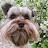 wendalynh Avatar