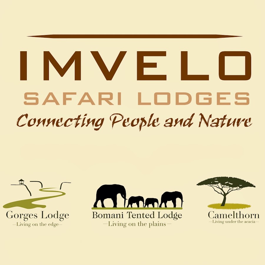 imvelo safari lodges pictures