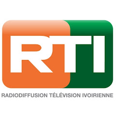 Radiodiffusion Télévision Ivoirienne net worth