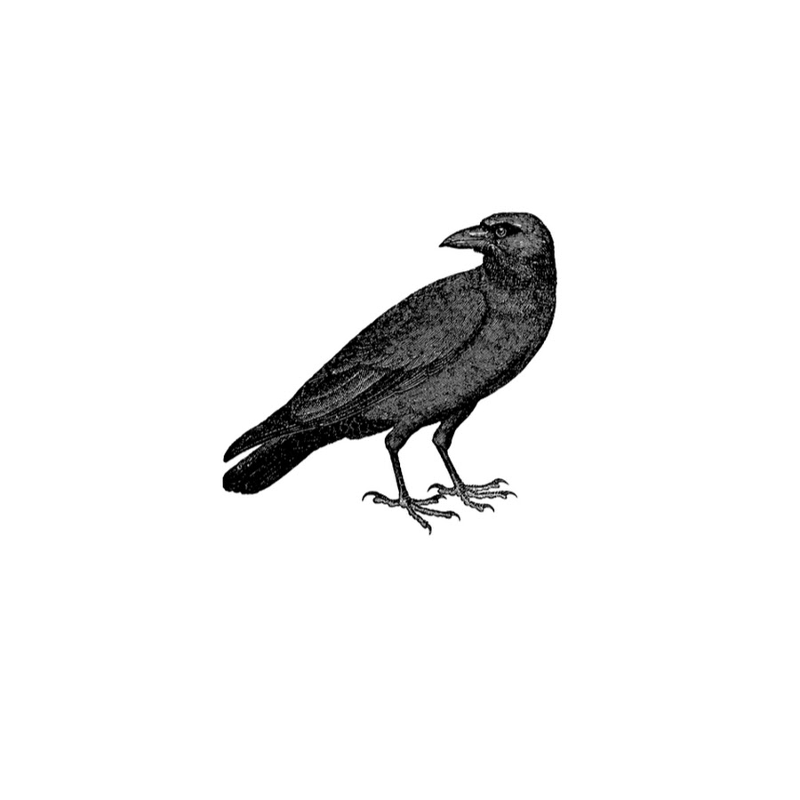 The Crow Tarot - YouTube
