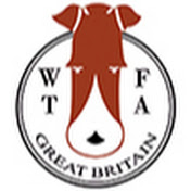 Wire Fox Terrier Association