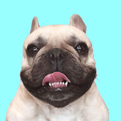 Griffin Frenchie Channel icon