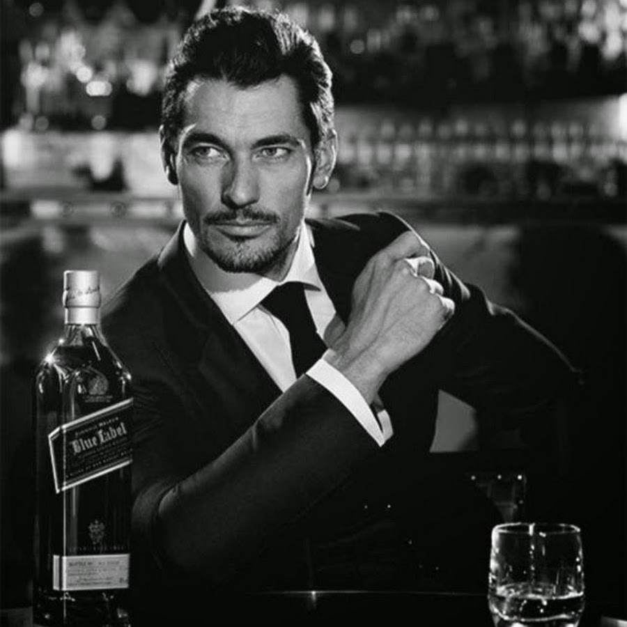 Аристократ в баре