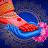 Chandrika Annam Avatar
