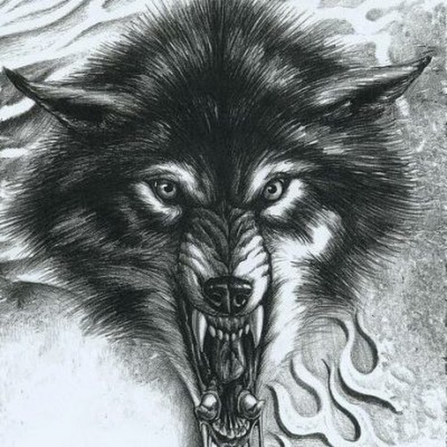 Эскизы волк оскал