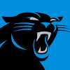 What could Carolina Panthers buy with $234.62 thousand?