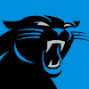 What could Carolina Panthers buy with $234.6 thousand?