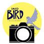 David Bird YouTube Profile Photo