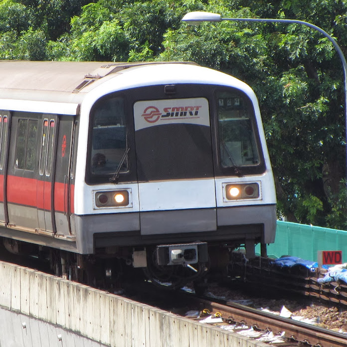 willischong Video Productions Net Worth & Earnings (2026)