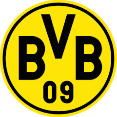 Borussia Dortmund net worth