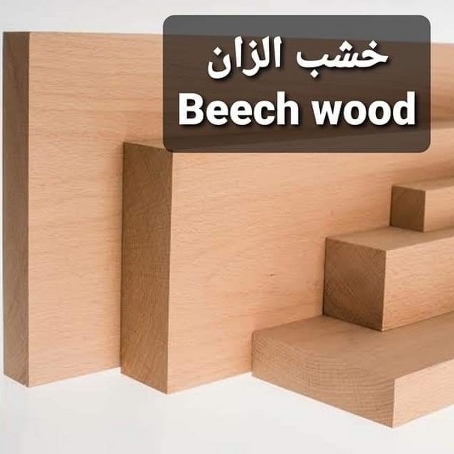 خشب الزان Beech wood - YouTube