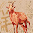 C CDRIVE Avatar