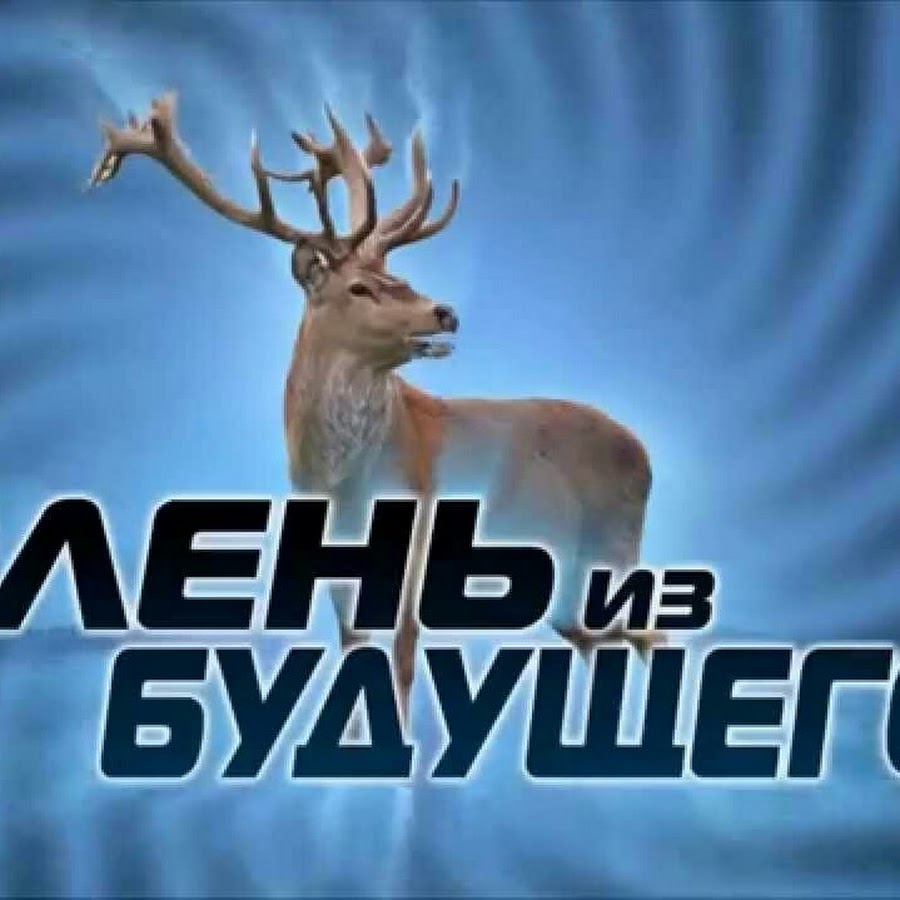 финляндия светоотражающие рога оленей. олень из будущего юджин.