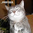 Kevin S Avatar