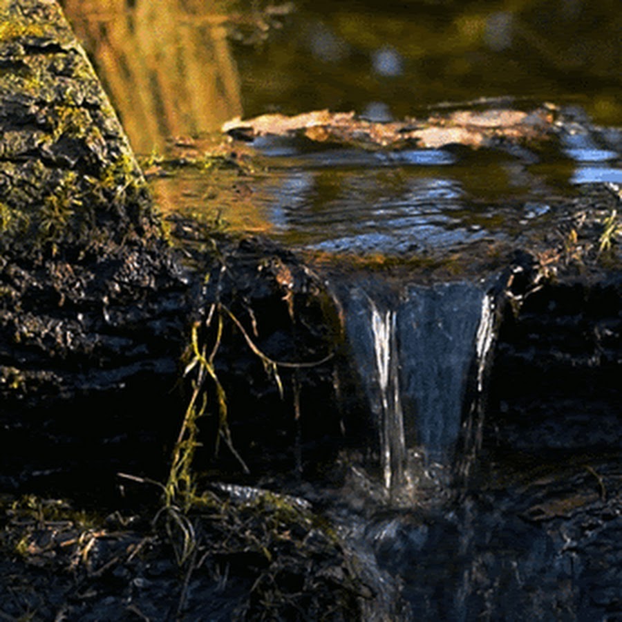 Там вода течет. Ручей Живая природа. Текущая вода. Текучие воды. Гифки природа.