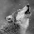 white wolf