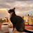 Carolina Gastelum Avatar