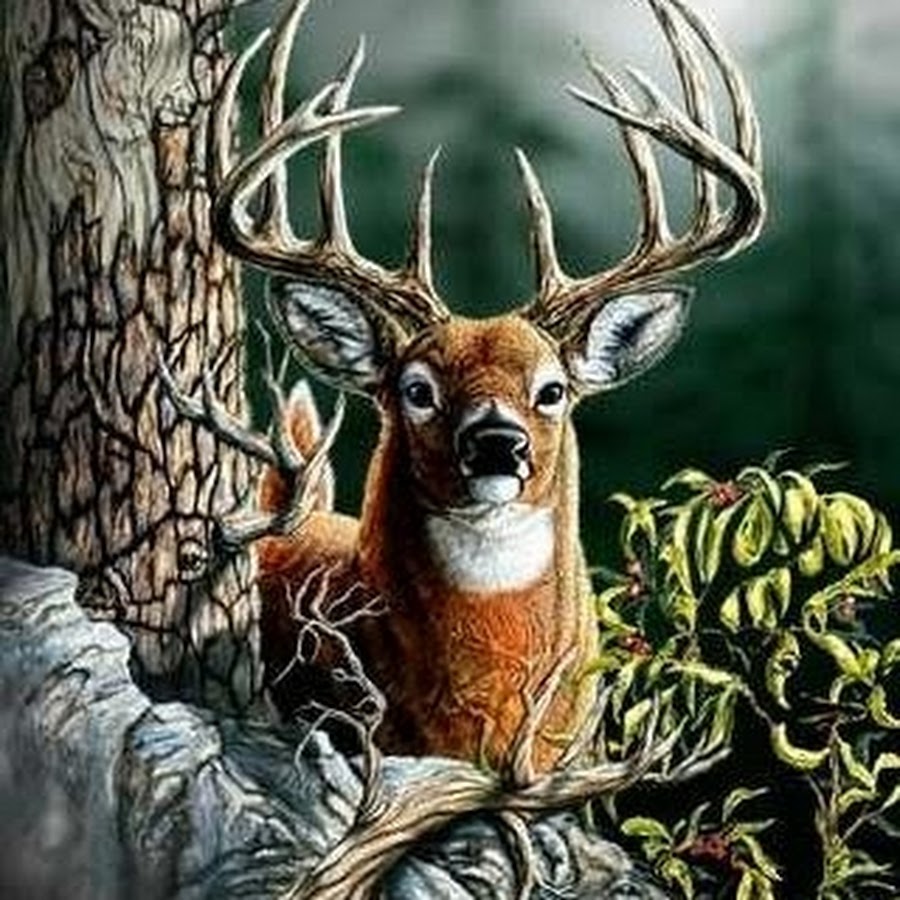 Художник Стивен Гарднер