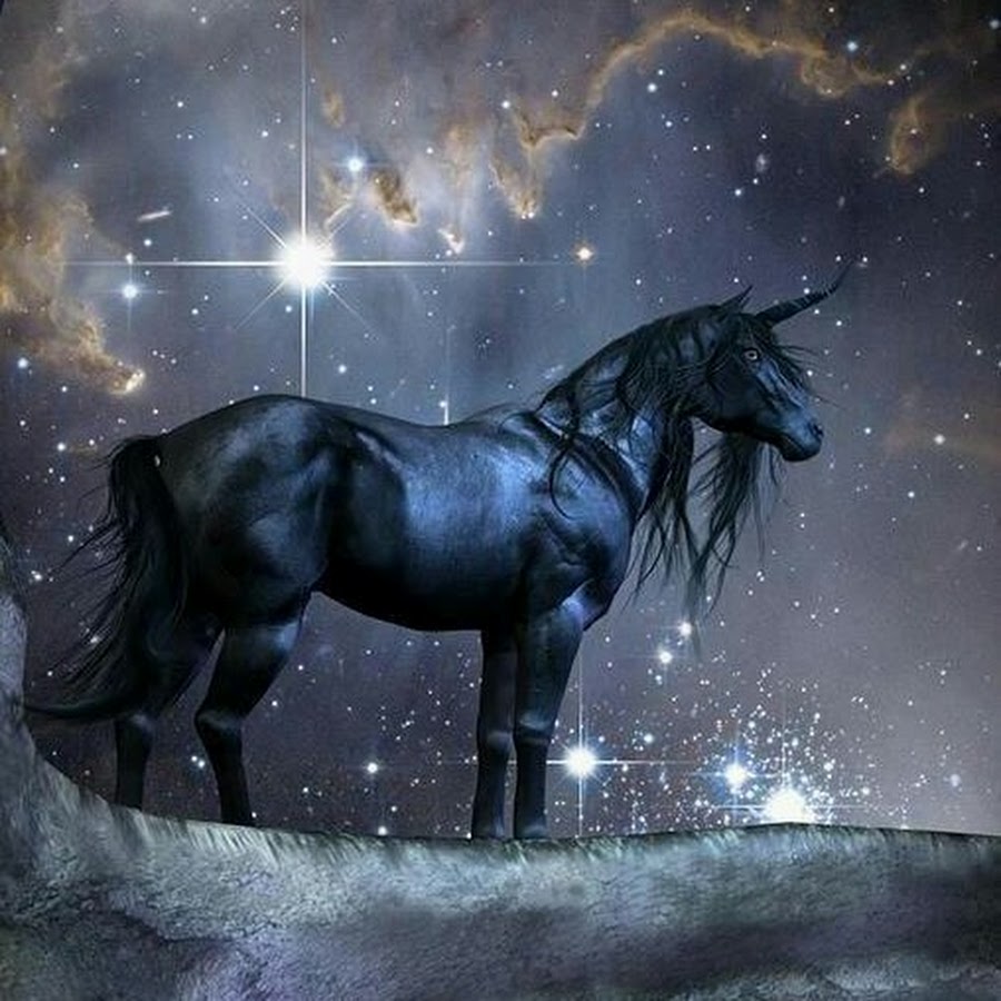 Картинки темный единорог