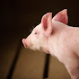 Illinois Pork Producers Association YouTube Profile Photo