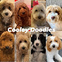 Cooley Doodles YouTube Profile Photo