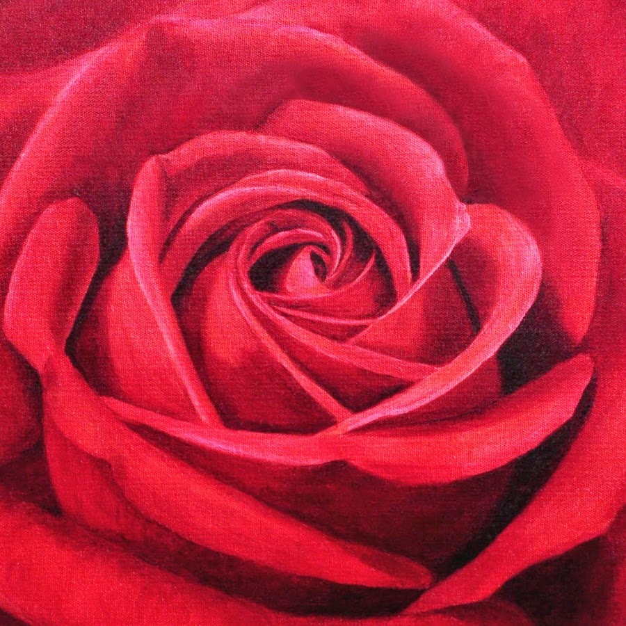 Роза красная живописная