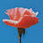logistic lehua Avatar