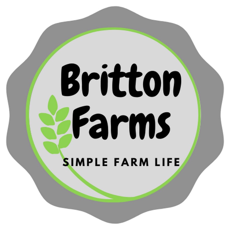 AMLnZu908hZk6OAvJ3H6ueYB1Gk3rr6_4cvQ9JsdE_o=s900ckc0x00ffffffnorj