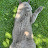 Polao Avatar